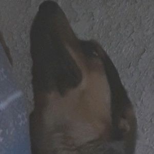 Meet your Posher, Paulina